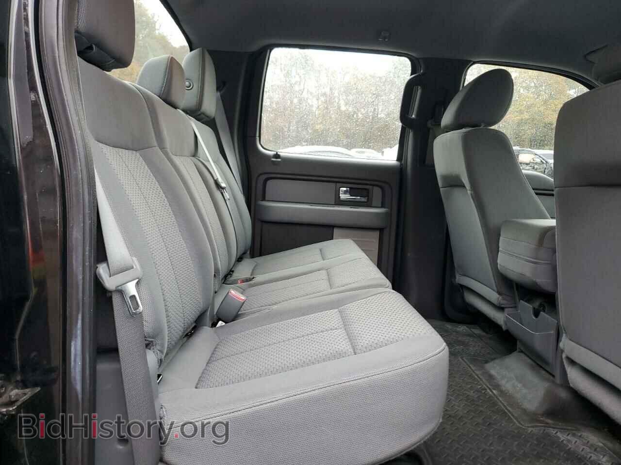 2013 FORD F-150 - VIN: 1FTEW1CM8DFC68807 - Фото 10