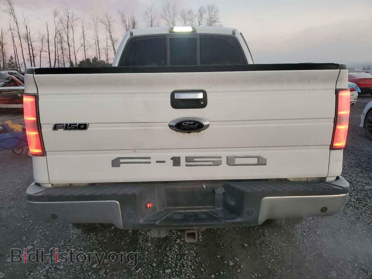 2013 FORD F-150 - VIN: 1FTFX1CT6DFC88336 - Фото 6