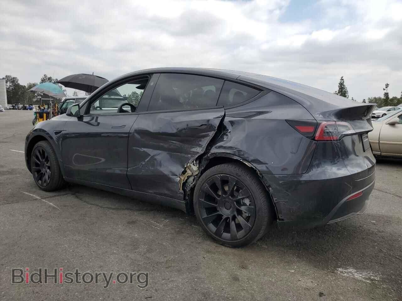 2024 TESLA MODEL Y - VIN: 7SAYGDED3RF097682 - Photo 2