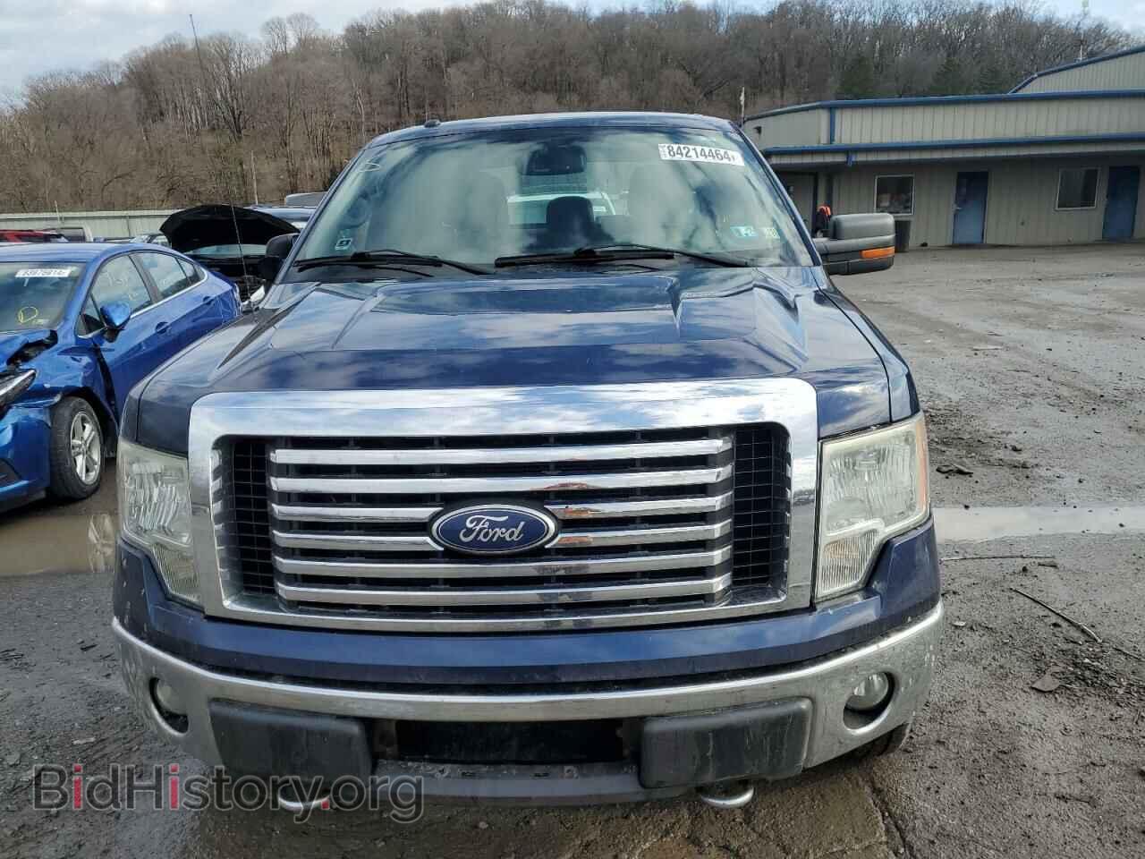 2011 FORD F-150 - VIN: 1FTFX1EF2BFA14409 - Фото 5
