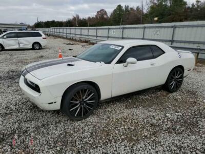 2010 Dodge CHALLENGER SE, белый — VIN 2B3CJ4DV1AH190834, Copart