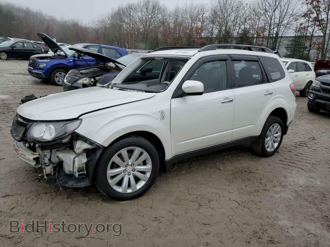 Photo JF2SHAEC5BH715100 - SUBARU FORESTER 2011