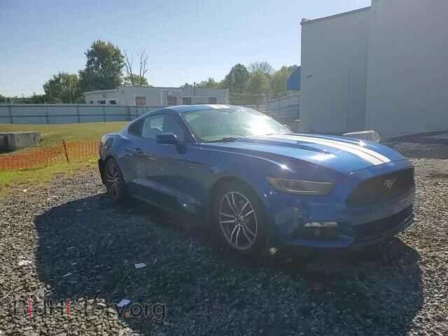2017 FORD ALL Models - VIN: 1FA6P8TH9H5328009 - Фото 13