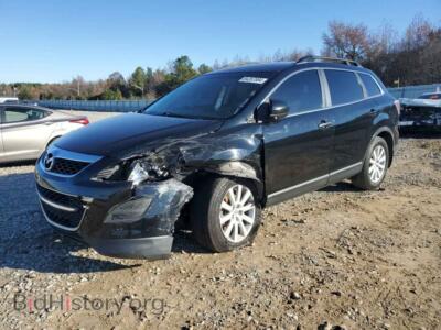 2010 Mazda CX-9, черный — VIN JM3TB2MA7A0205734, Copart