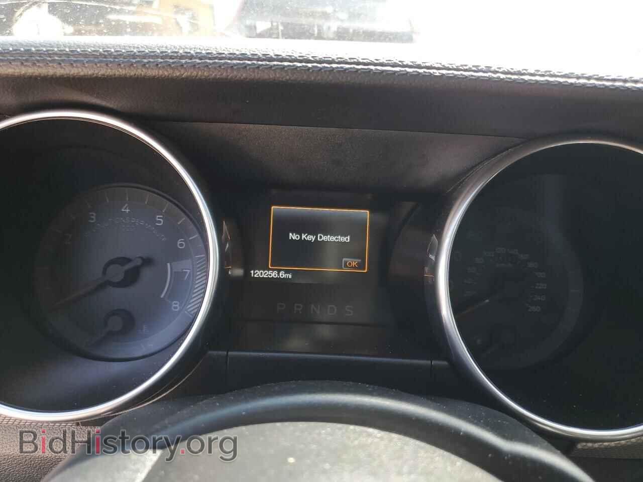 2019 FORD ALL Models - VIN: 1FA6P8THXK5184381 - Фото 9