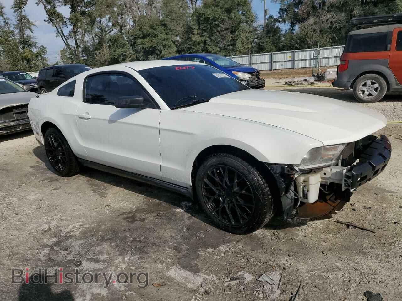 2010 FORD ALL Models - VIN: 1ZVBP8AN7A5181029 - Фото 4