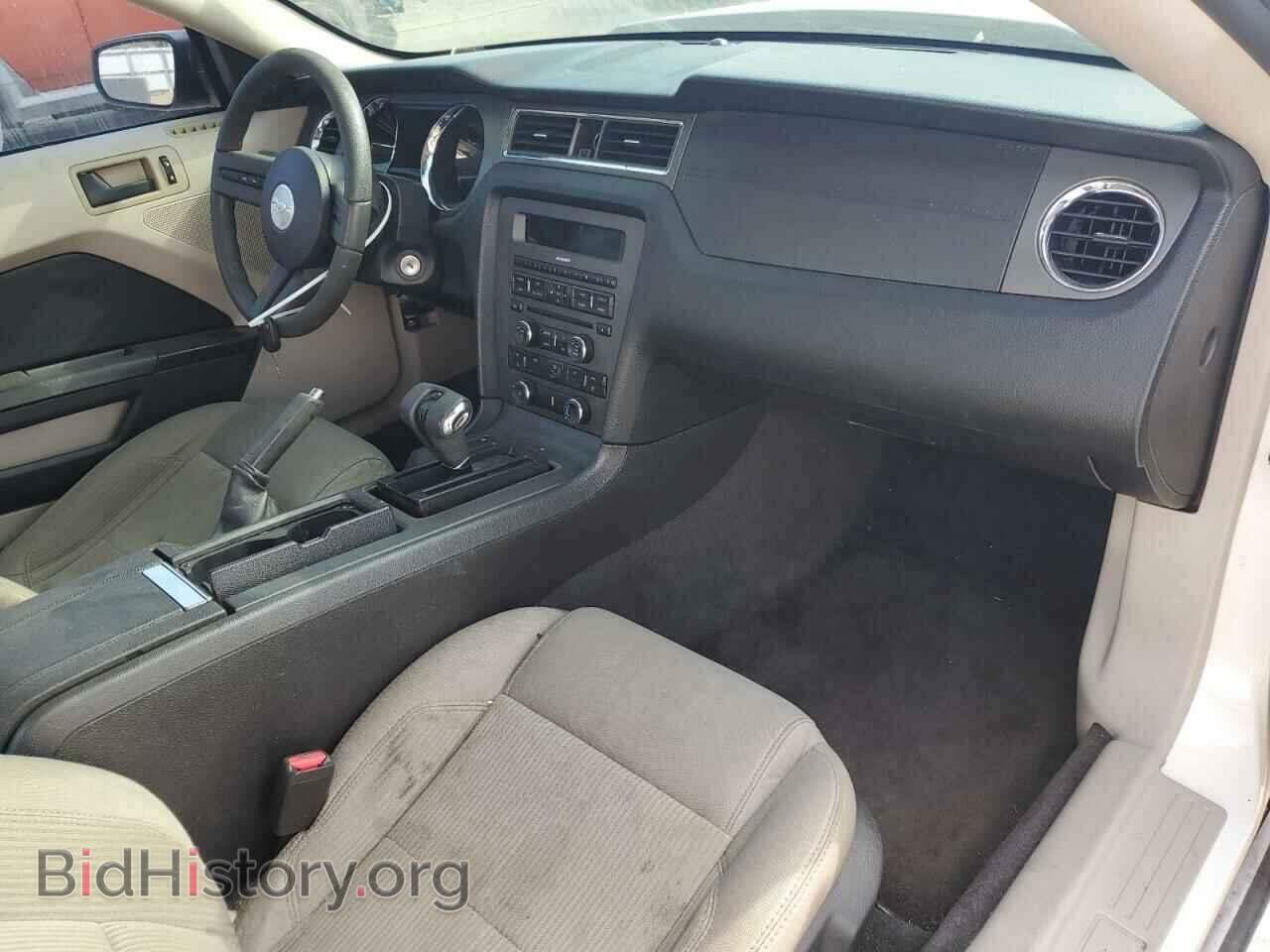 2010 FORD ALL Models - VIN: 1ZVBP8AN7A5181029 - Фото 8