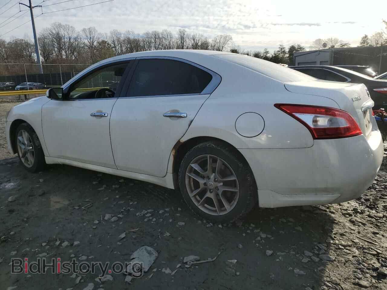 2011 NISSAN MAXIMA - VIN: 1N4AA5AP6BC860034 - Фото 2