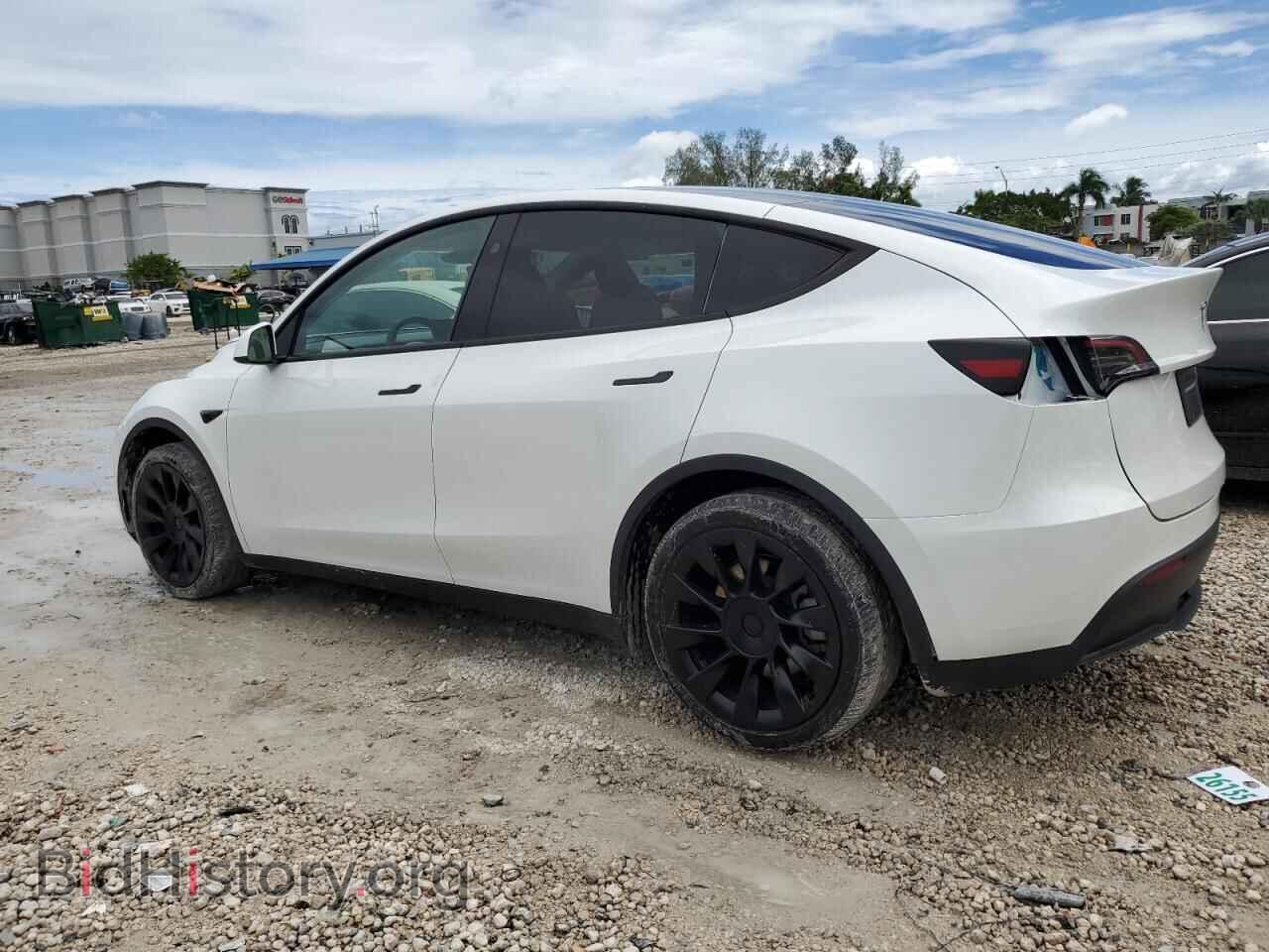 2024 TESLA MODEL Y - VIN: 7SAYGDED6RF098213 - Photo 2