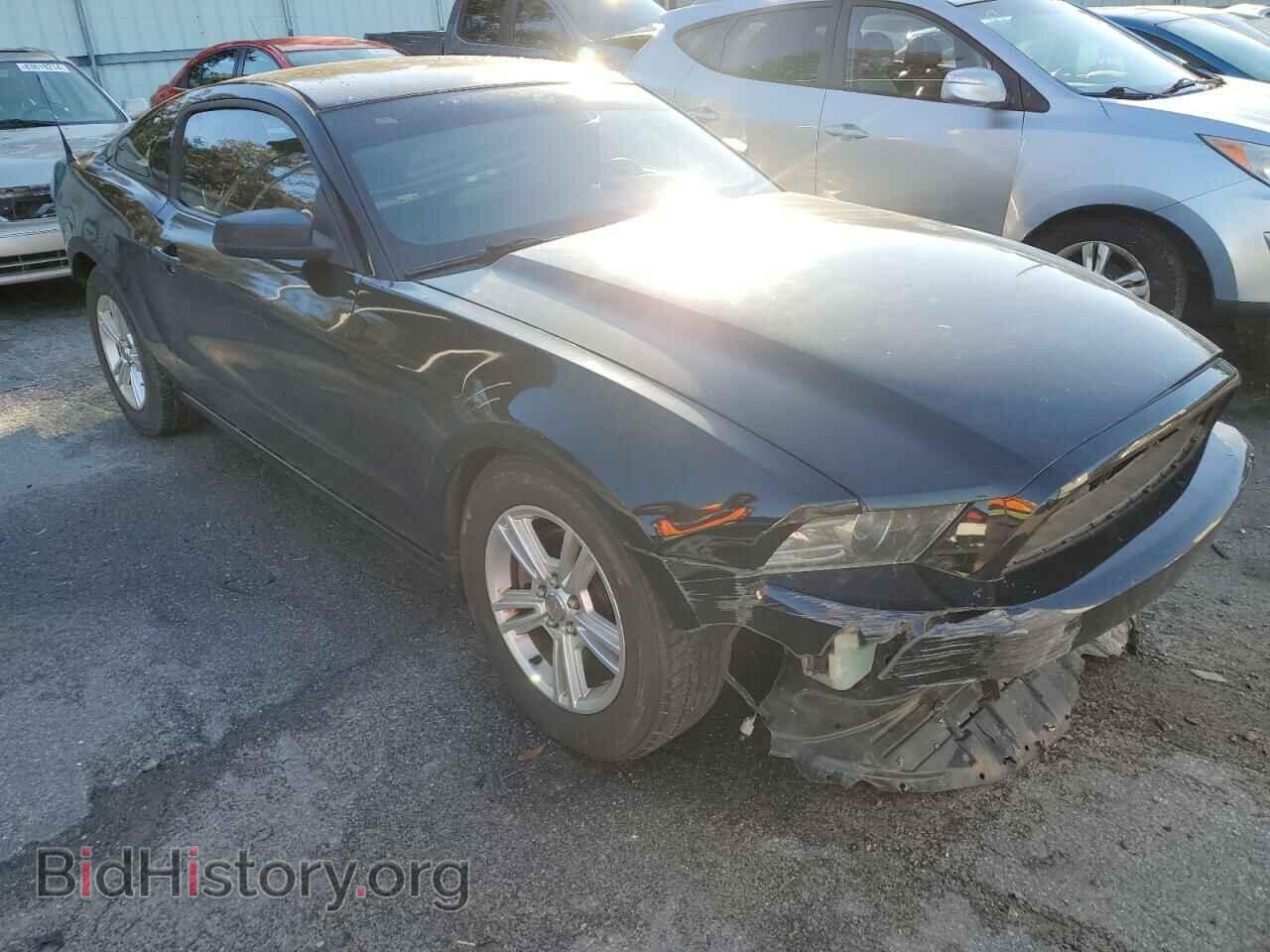 2014 FORD ALL Models - VIN: 1ZVBP8AM3E5330498 - Фото 4