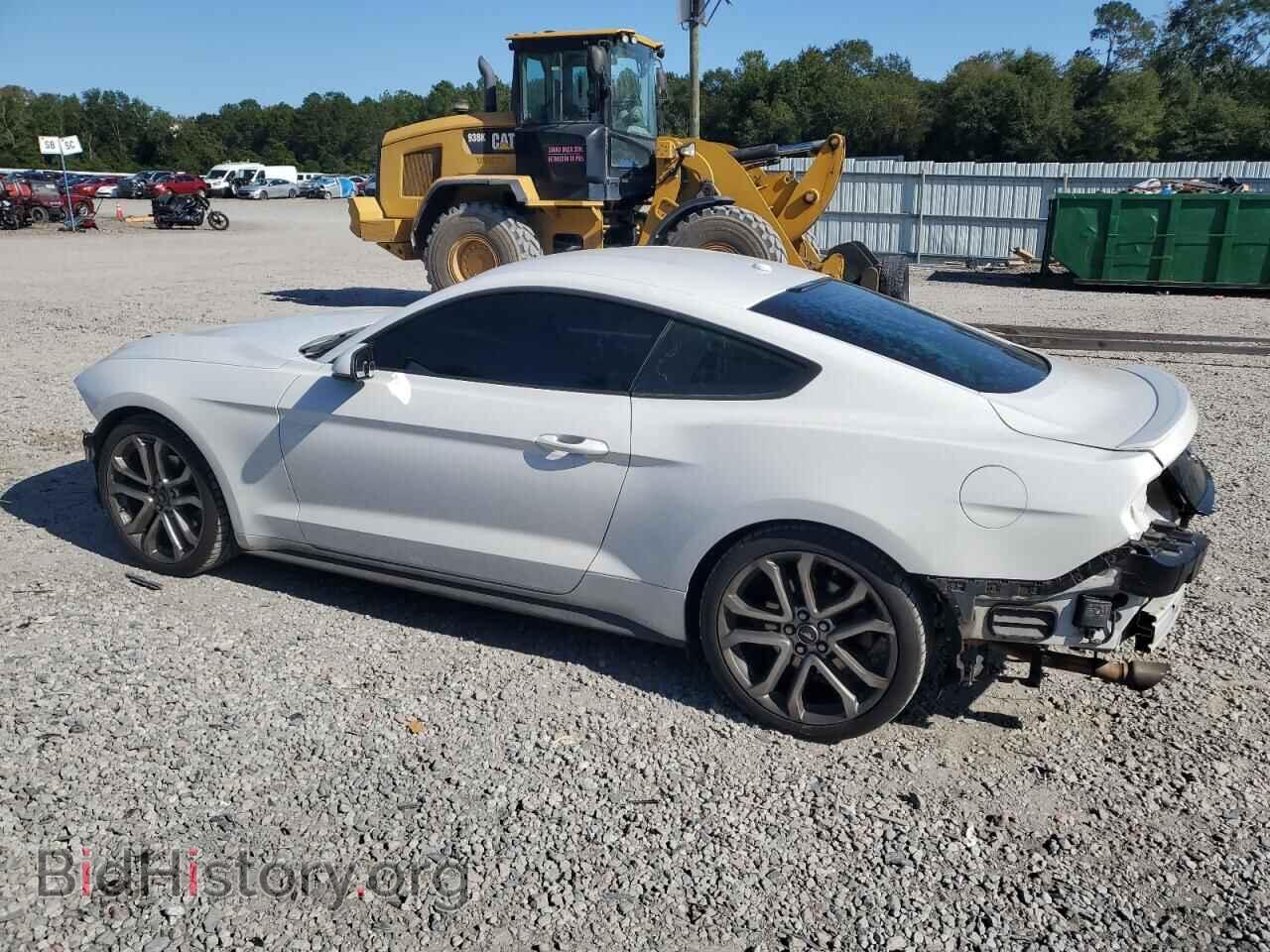 2019 FORD ALL Models - VIN: 1FA6P8TH0K5166245 - Photo 2