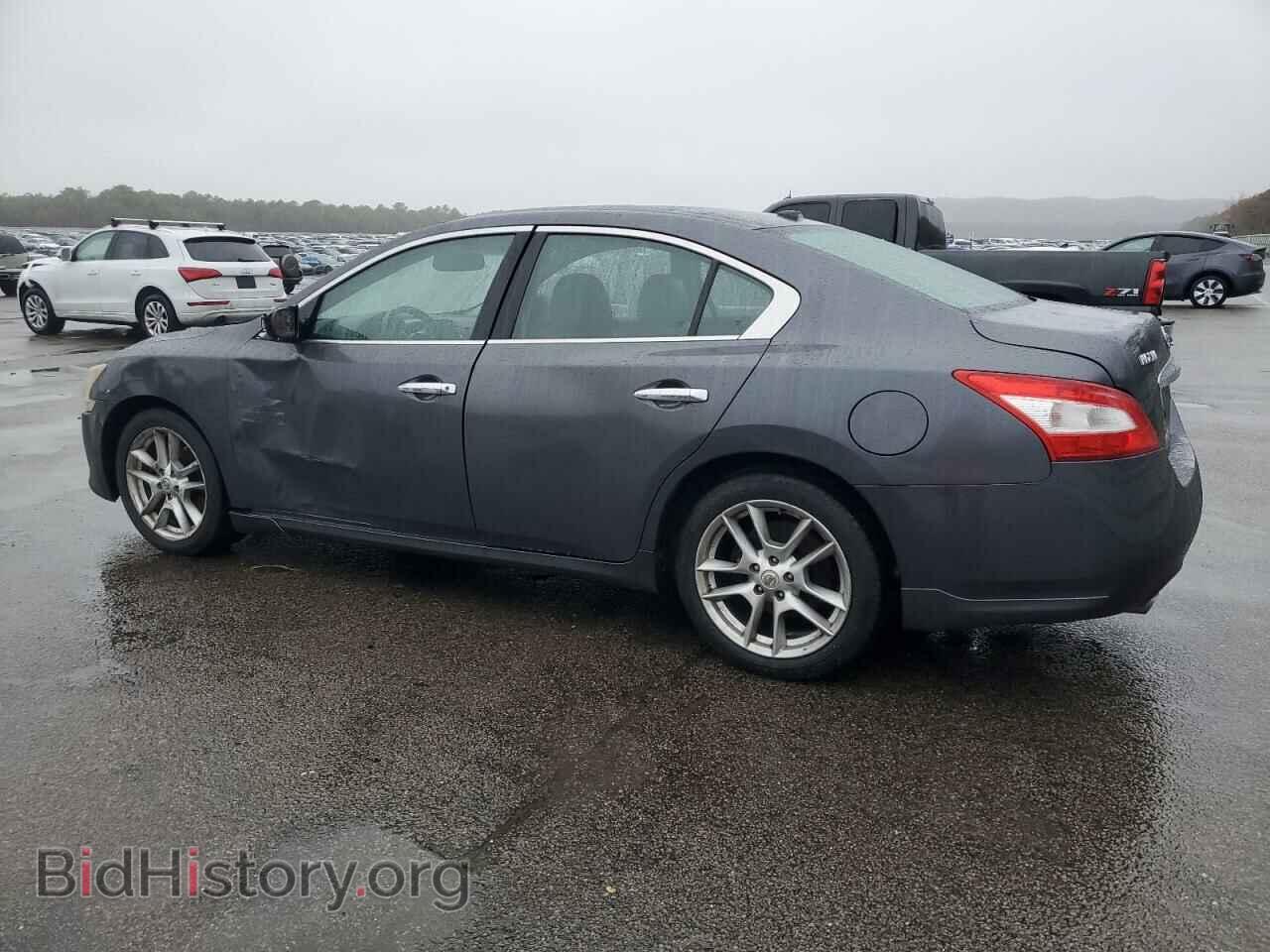 2009 NISSAN MAXIMA - VIN: 1N4AA51E49C801315 - Фото 2
