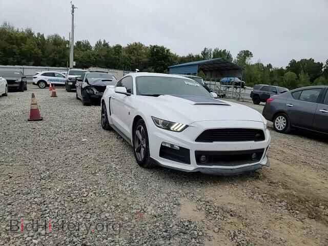 2015 FORD ALL Models - VIN: 1FA6P8AM7F5315272 - Фото 13