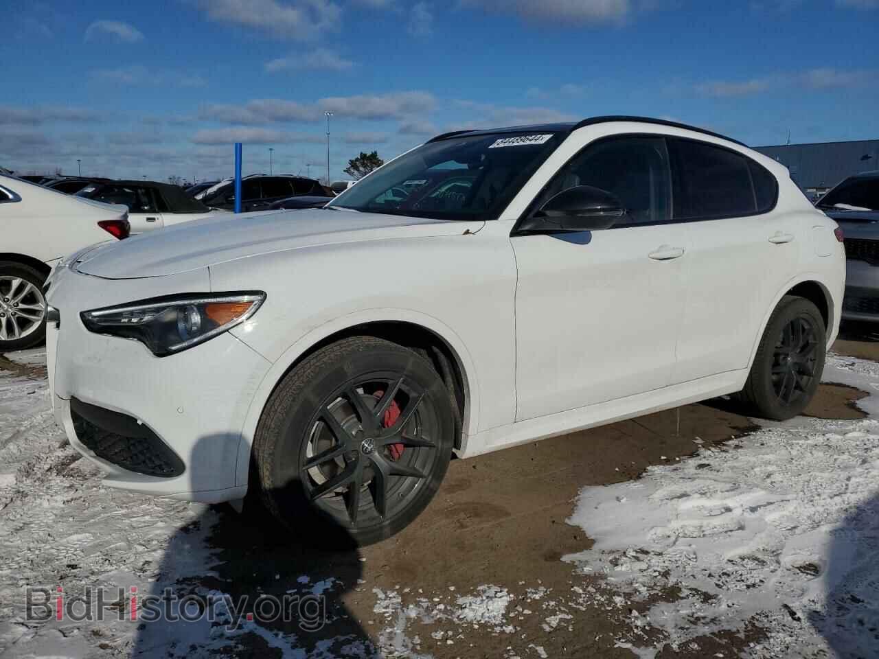 Photo ZASPAKBN6M7D03613 - ALFA ROMEO STELVIO 2021