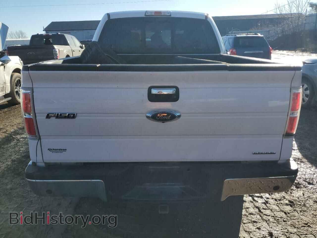 2014 FORD F-150 - VIN: 1FTFW1EF6EFA61675 - Фото 6
