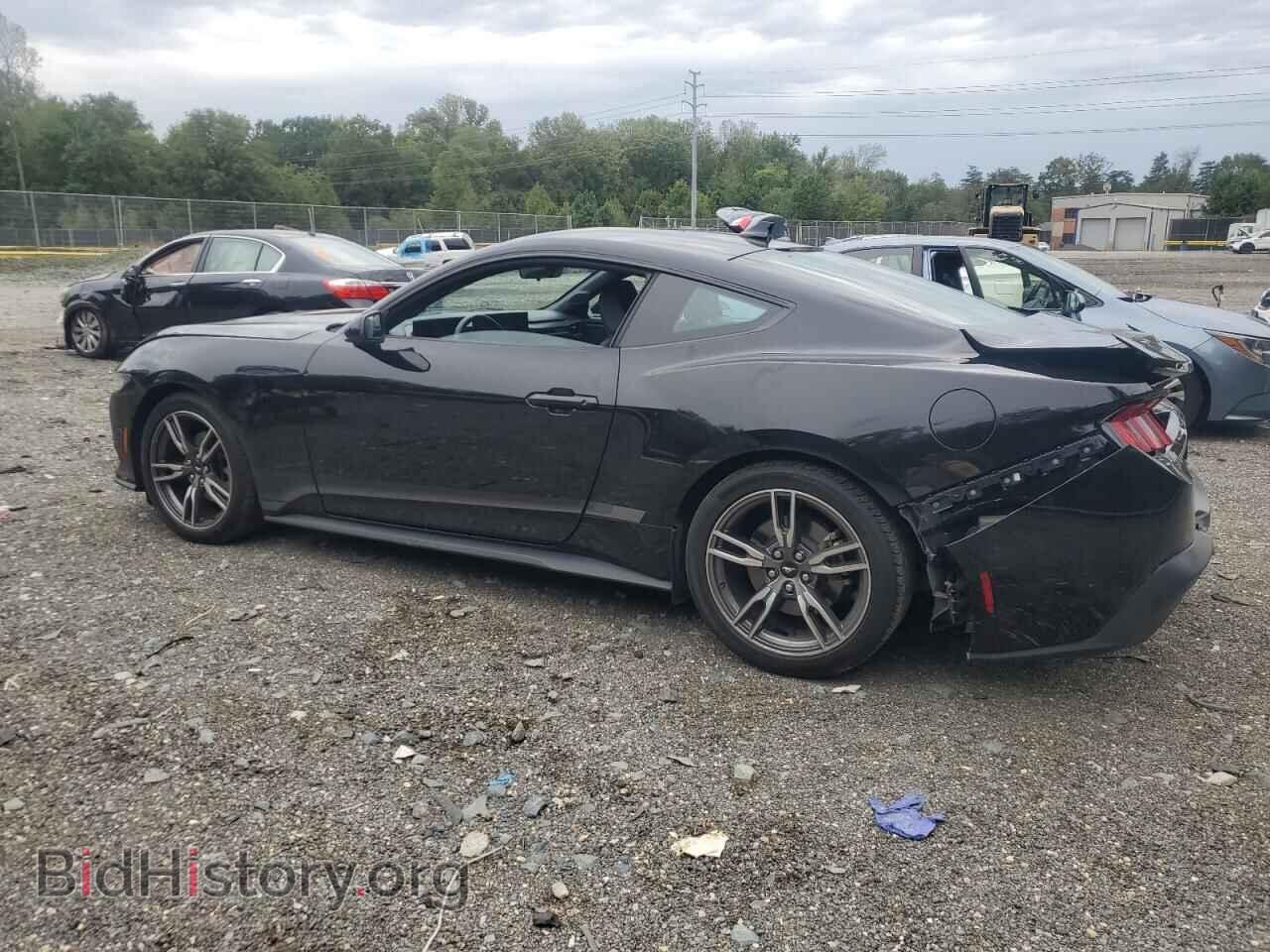 2024 FORD ALL Models - VIN: 1FA6P8THXR5110355 - Photo 2