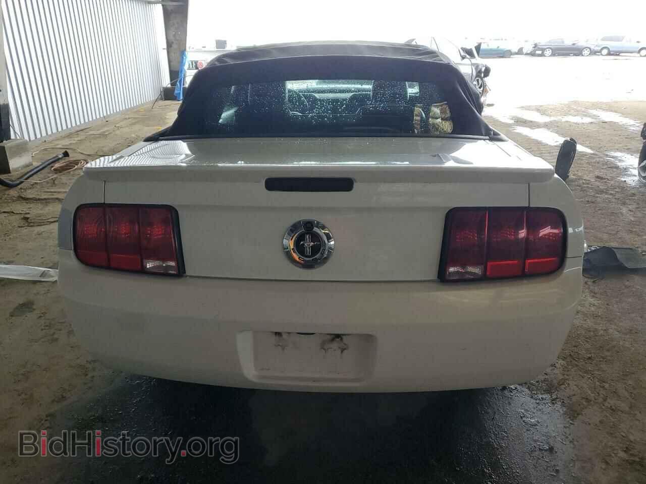 2007 FORD ALL Models - VIN: 1ZVFT84N175355100 - Photo 6