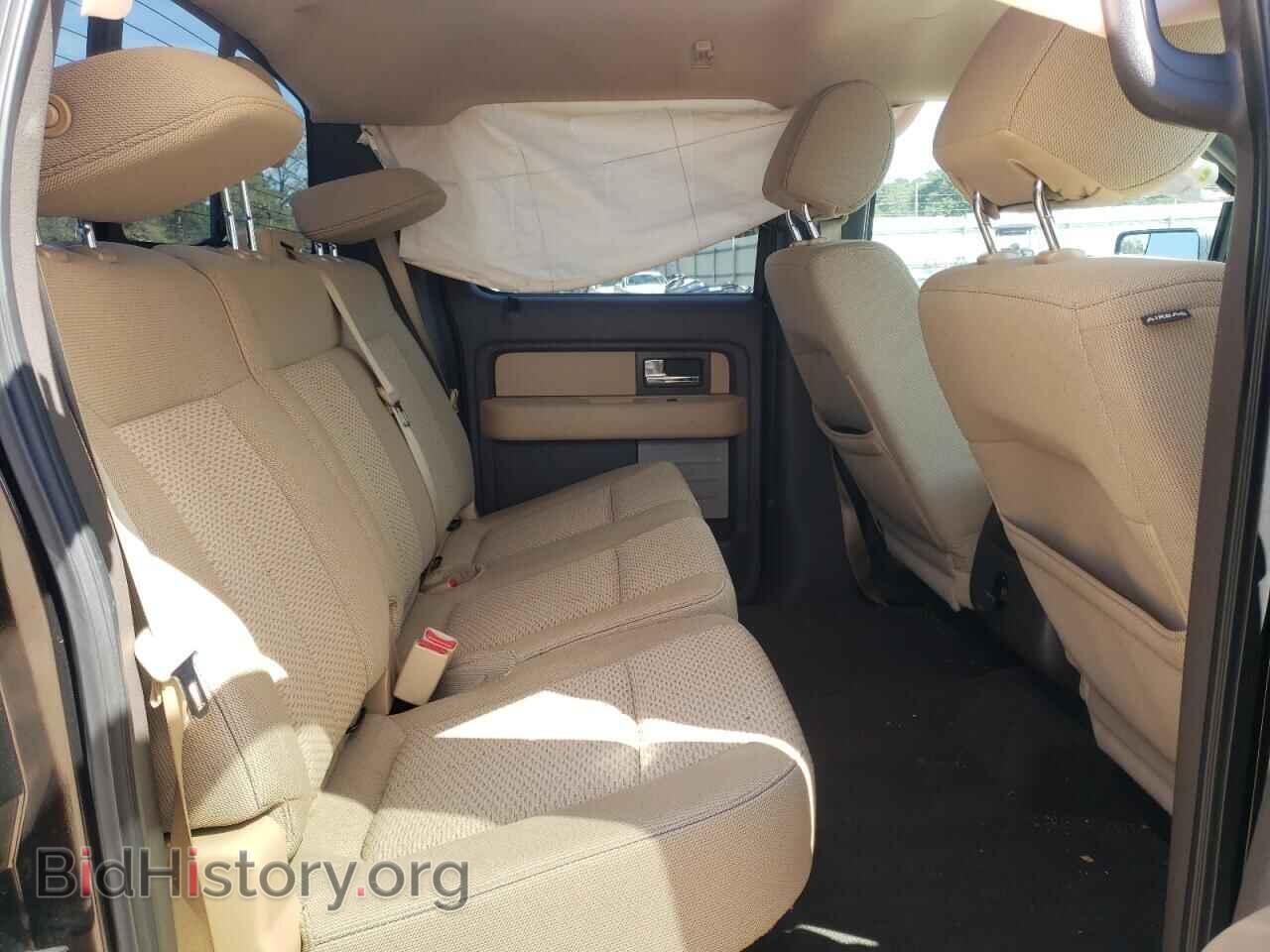 2013 FORD F-150 - VIN: 1FTFW1CT6DFD23573 - Фото 10