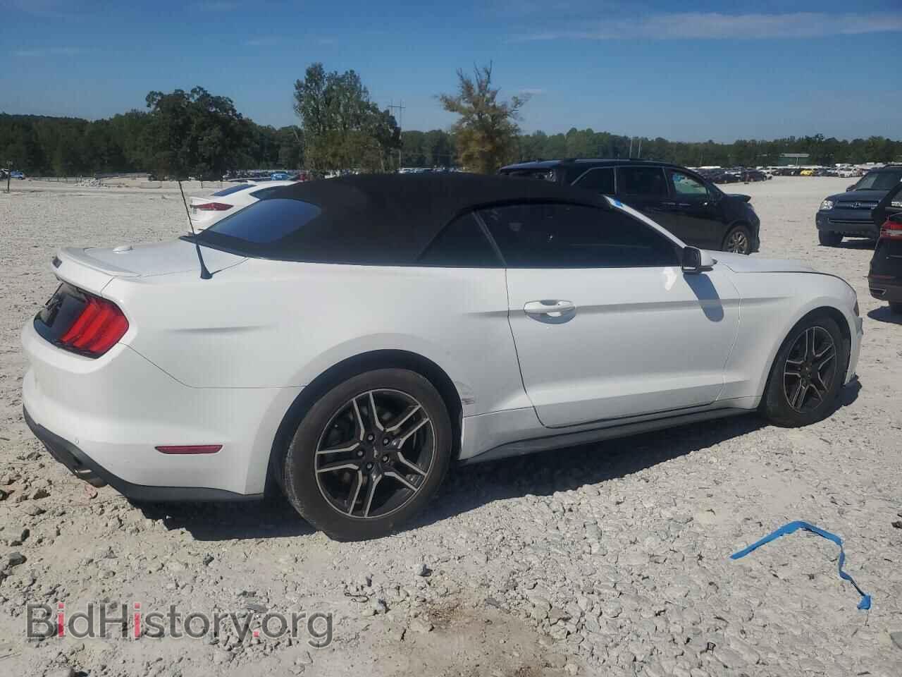 2019 FORD ALL Models - VIN: 1FATP8UH9K5181831 - Фото 3