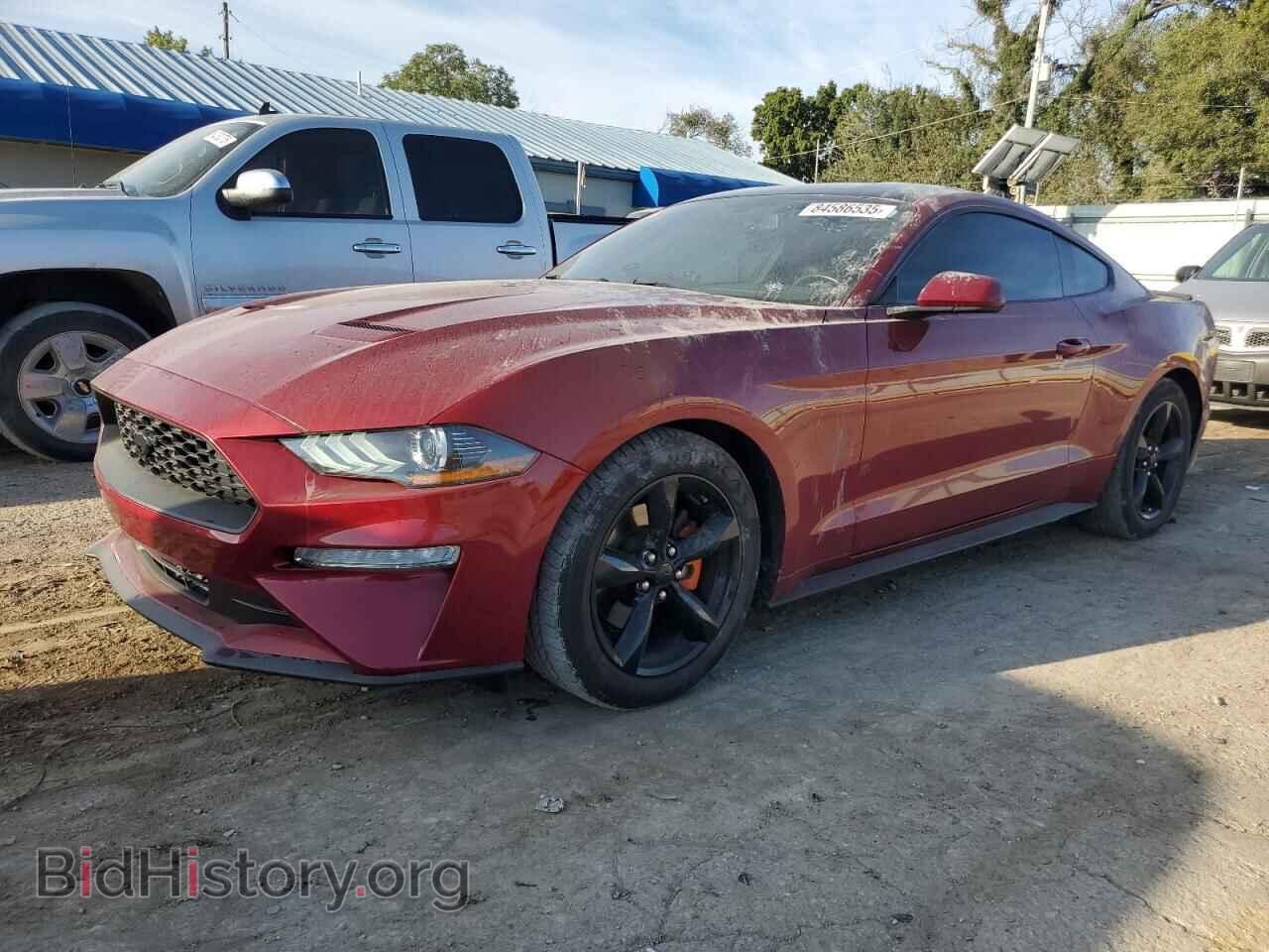 Photo 1FA6P8THXK5194683 - FORD ALL Models 2019