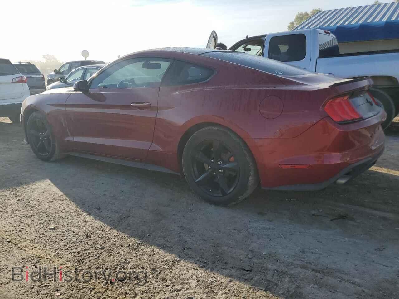 2019 FORD ALL Models - VIN: 1FA6P8THXK5194683 - Photo 2