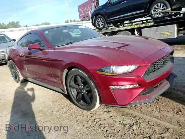 2019 FORD ALL Models - VIN: 1FA6P8THXK5194683 - Photo 13
