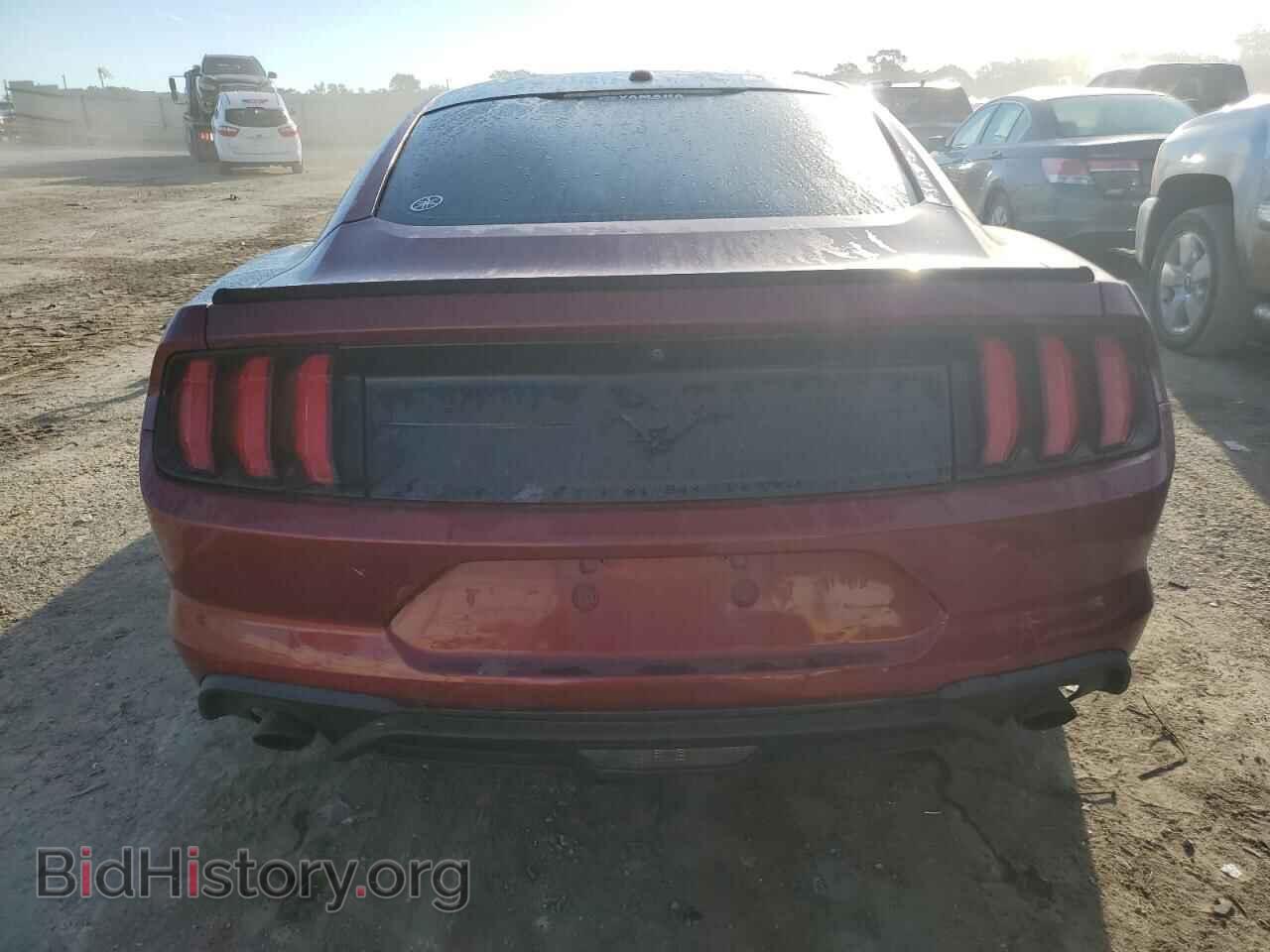 2019 FORD ALL Models - VIN: 1FA6P8THXK5194683 - Photo 6