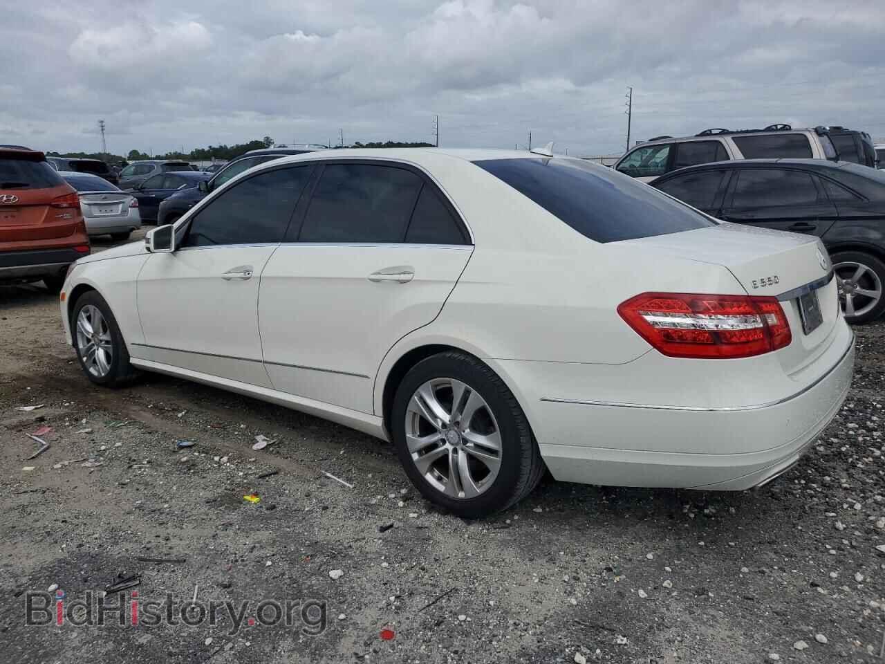 2010 MERCEDES-BENZ E-CLASS - VIN: WDDHF7CB9AA186307 - Фото 2
