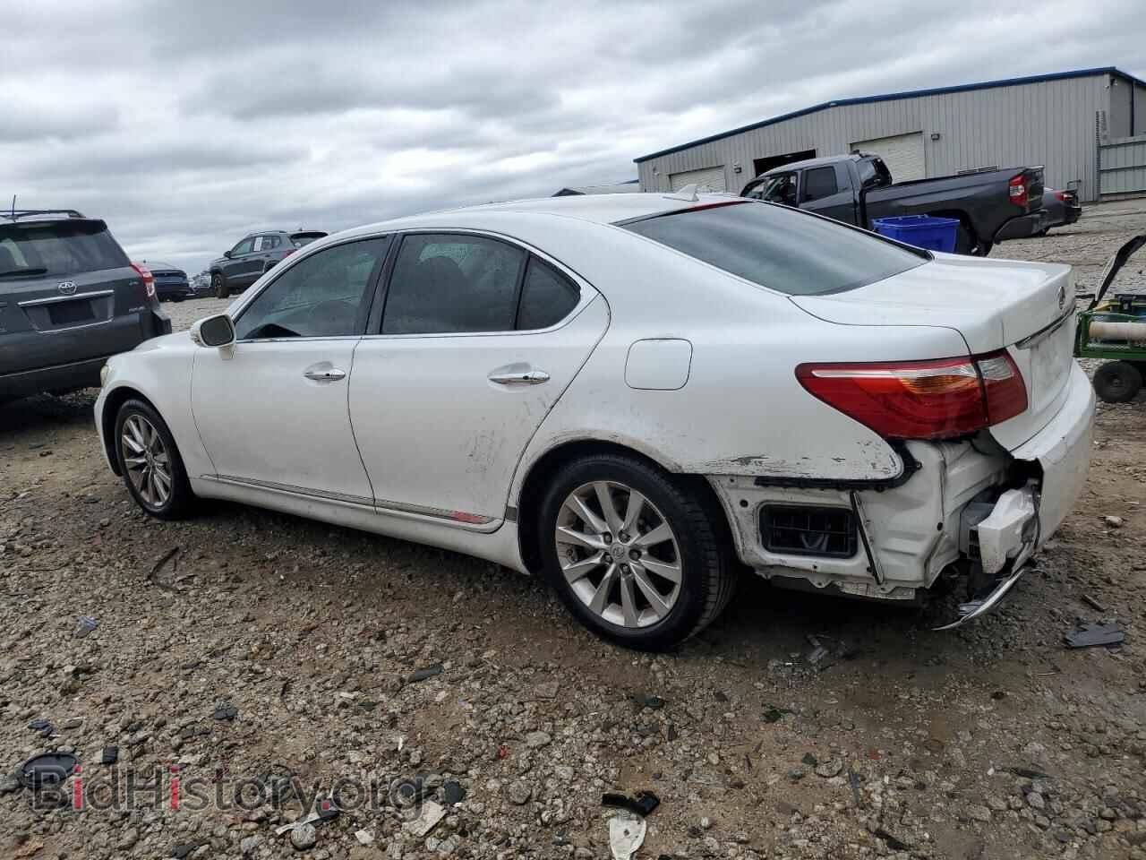 2011 LEXUS LS460 - VIN: JTHCL5EF6B5009532 - Photo 2