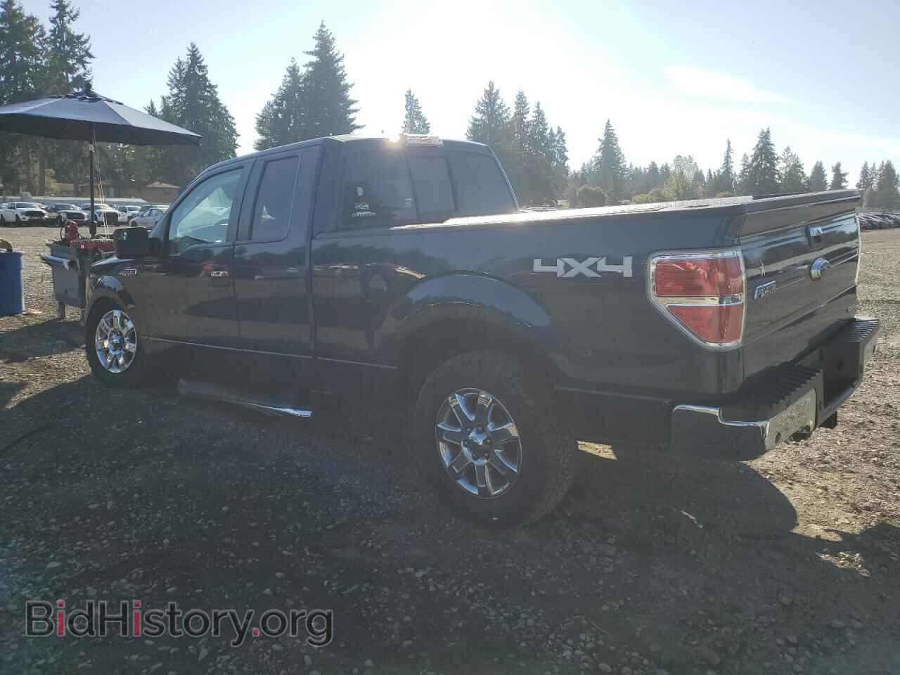 2014 FORD F-150 - VIN: 1FTFX1EF9EFB10364 - Фото 2
