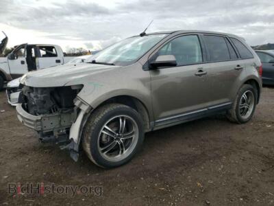 2014 Ford EDGE SEL, светло-коричневый — VIN 2FMDK3JCXEBA11000, Copart