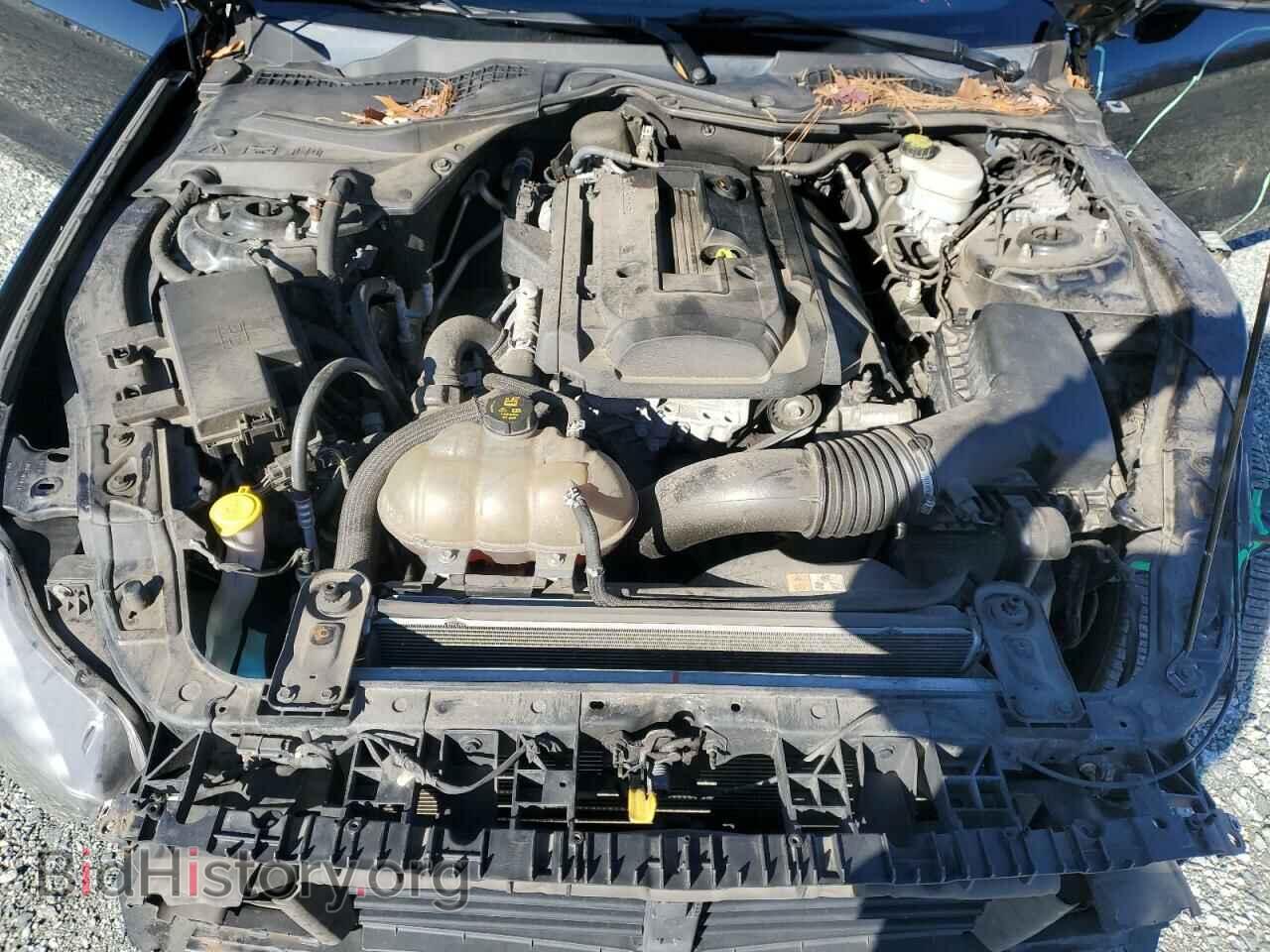 2017 FORD ALL Models - VIN: 1FA6P8TH0H5278455 - Фото 11
