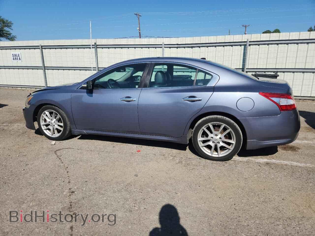 2010 NISSAN MAXIMA - VIN: 1N4AA5AP1AC824184 - Фото 2