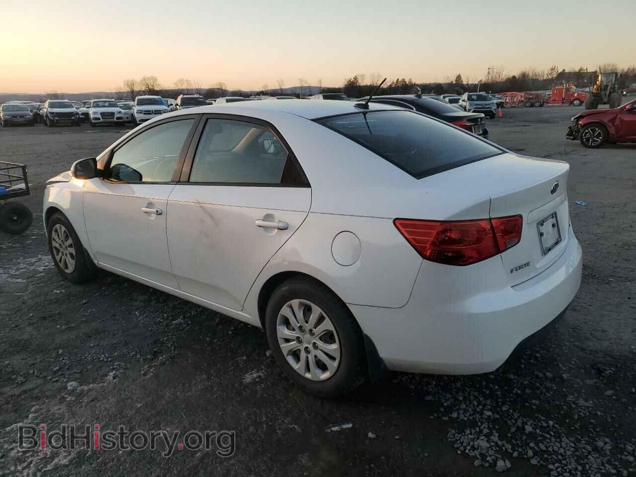 2011 KIA FORTE - VIN: KNAFU4A24B5892682 - Фото 2