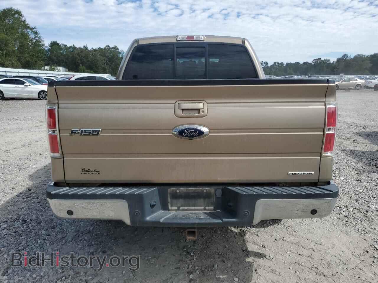 2013 FORD F-150 - VIN: 1FTFW1CF6DFD92290 - Фото 6