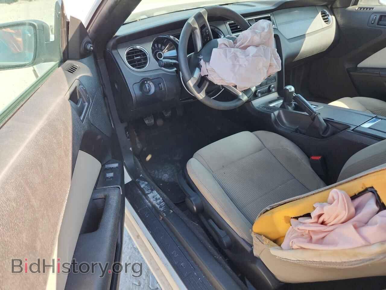 2013 FORD ALL Models - VIN: 1ZVBP8EMXD5205085 - Фото 8