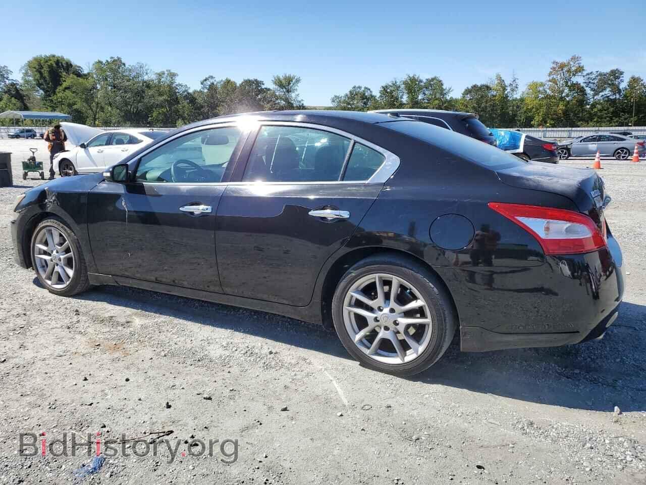 2009 NISSAN MAXIMA - VIN: 1N4AA51E29C858001 - Фото 2