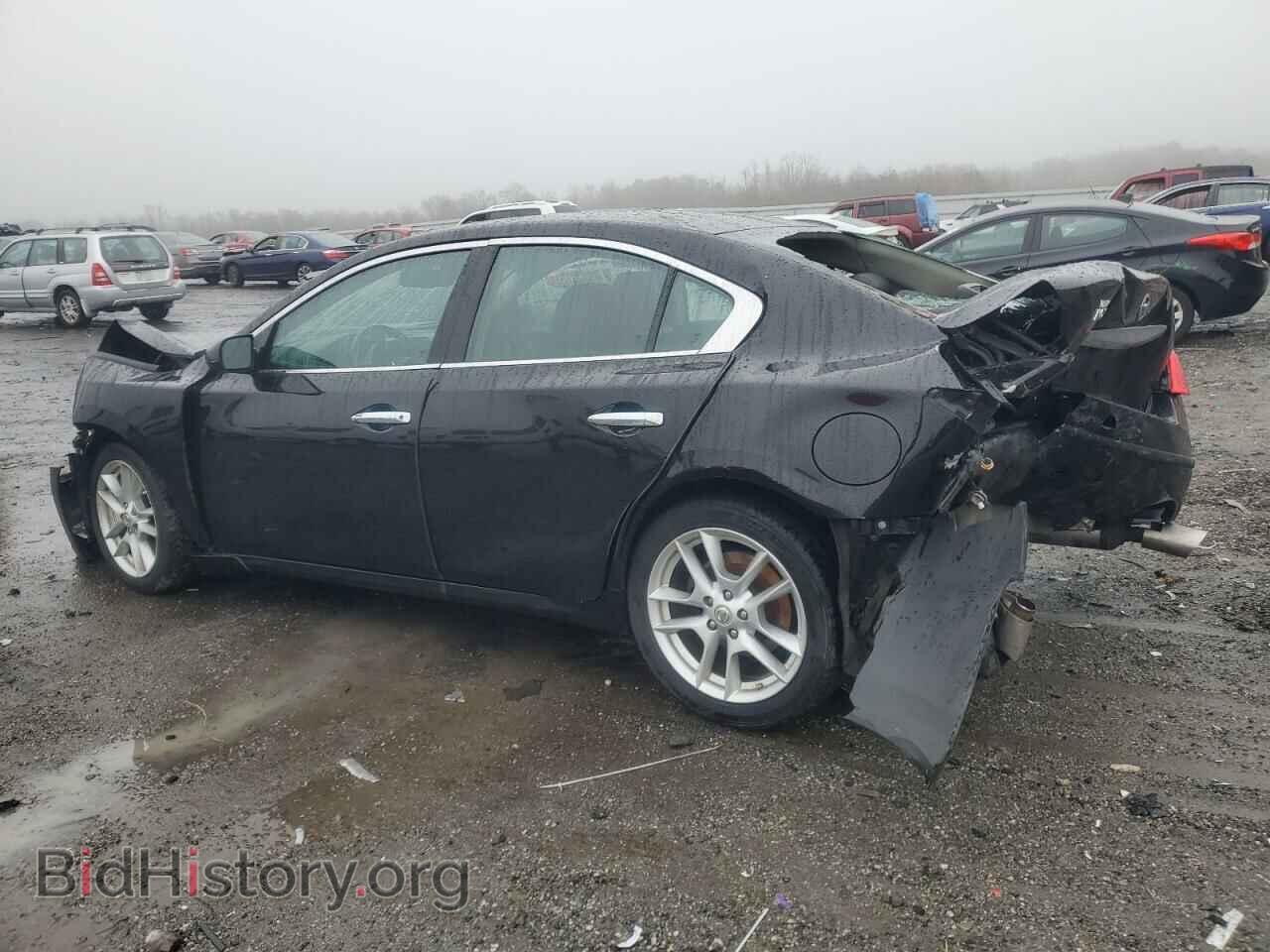 2009 NISSAN MAXIMA - VIN: 1N4AA51E59C803302 - Фото 2