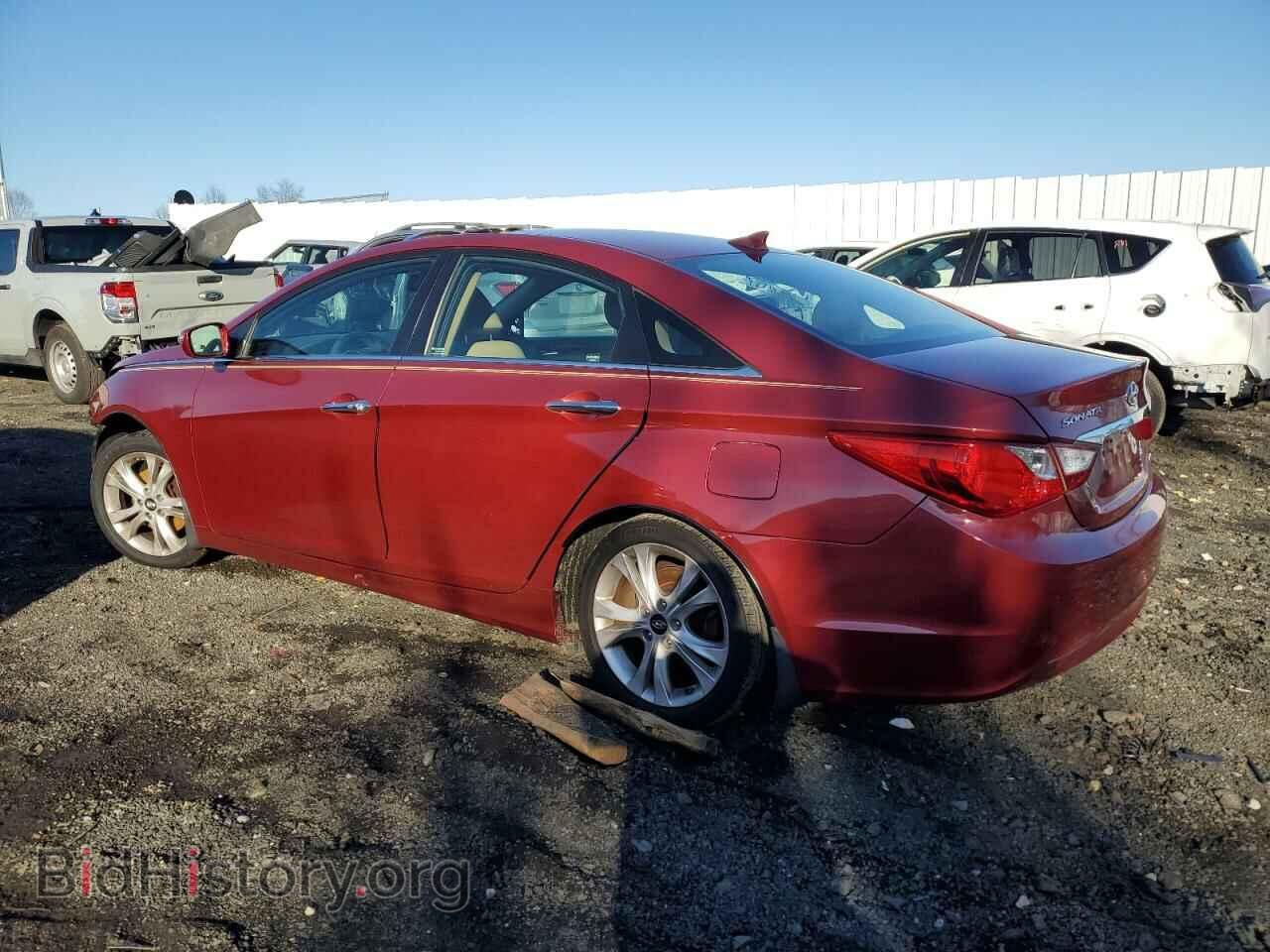 2013 HYUNDAI SONATA - VIN: 5NPEC4AC4DH648303 - Фото 2