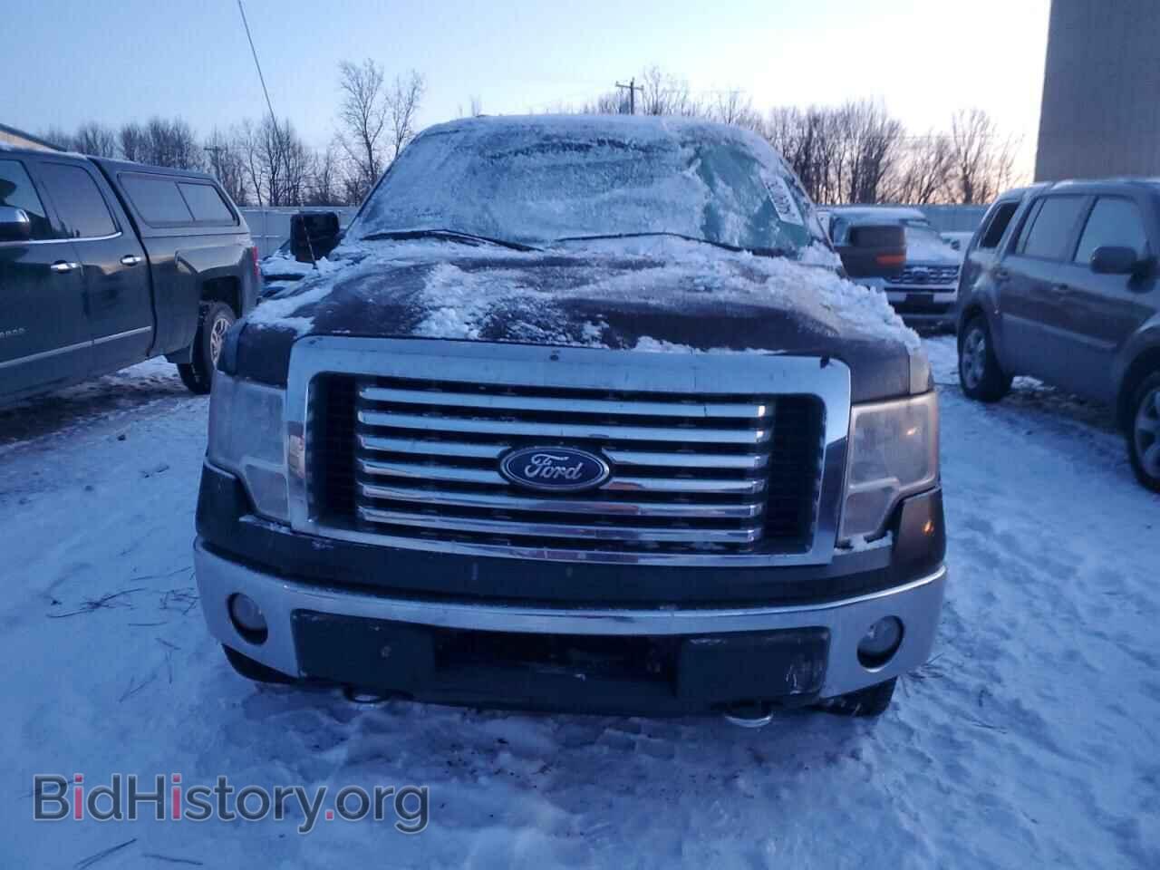 2010 FORD F-150 - VIN: 1FTFW1EV9AFA55371 - Фото 5
