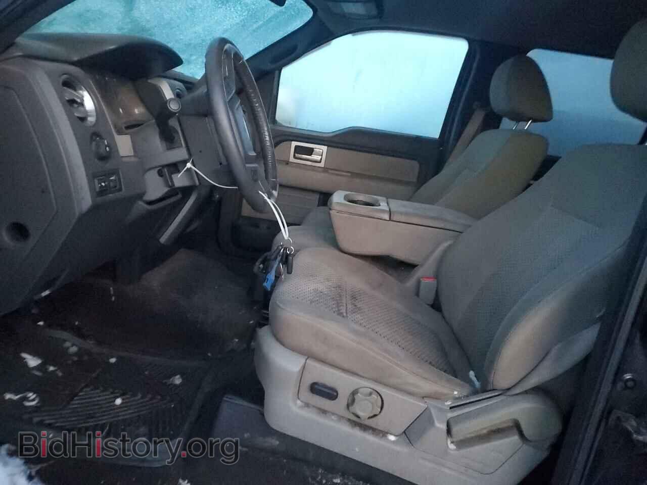 2010 FORD F-150 - VIN: 1FTFW1EV9AFA55371 - Фото 7