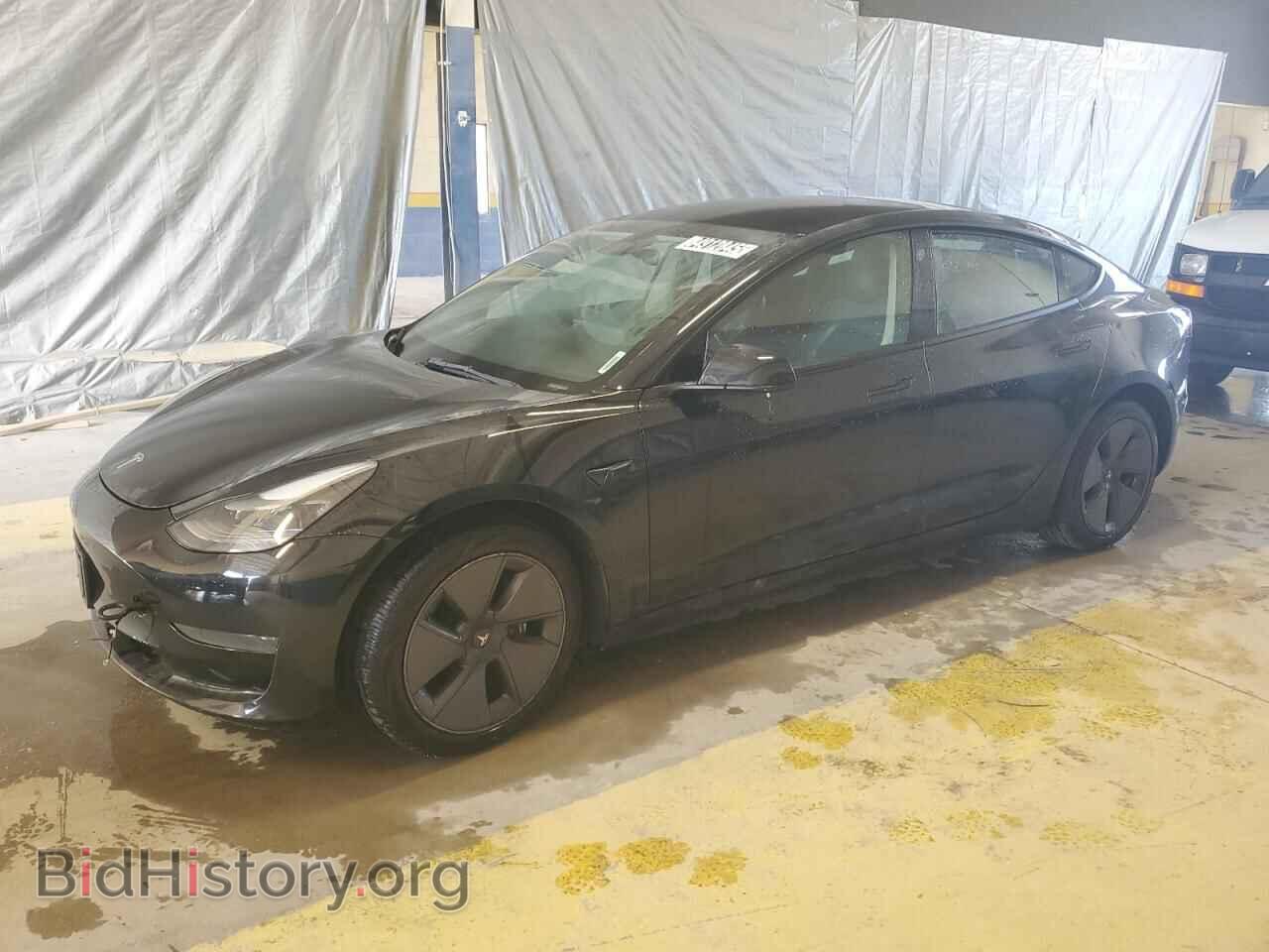 Photo 5YJ3E1EA0PF450491 - TESLA MODEL 3 2023