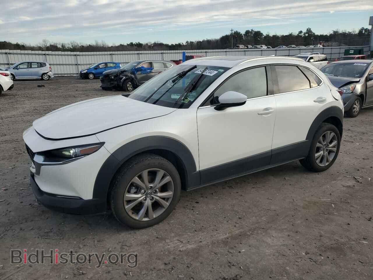 Фотография 3MVDMBDM2PM560249 - MAZDA CX30 2023