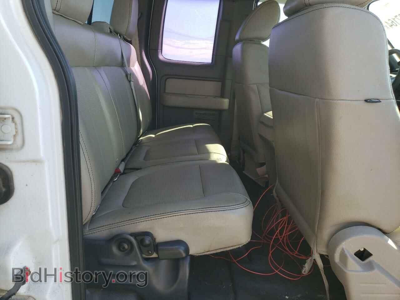 2010 FORD F-150 - VIN: 1FTFX1CV0AFC64157 - Фото 10
