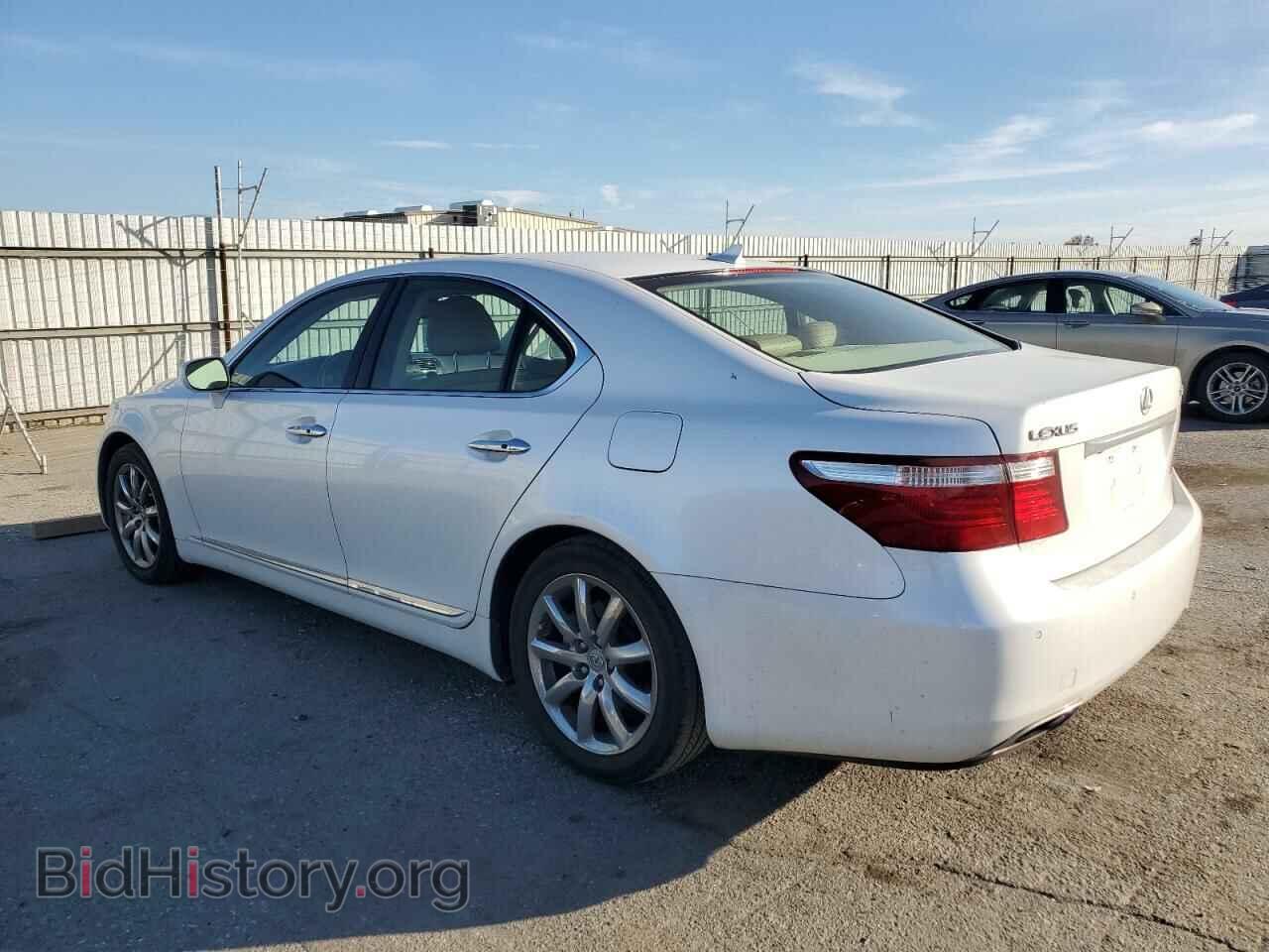 2009 LEXUS LS460 - VIN: JTHBL46F095087934 - Photo 2