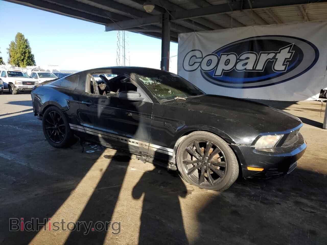 2010 FORD ALL Models - VIN: 1ZVBP8AN8A5146290 - Фото 4
