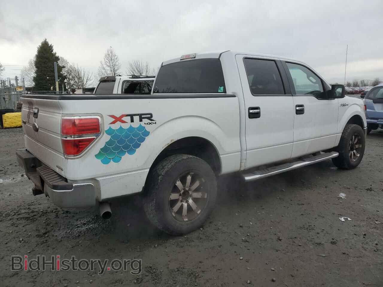 2011 FORD F-150 - VIN: 1FTFW1EF3BFA21257 - Фото 3