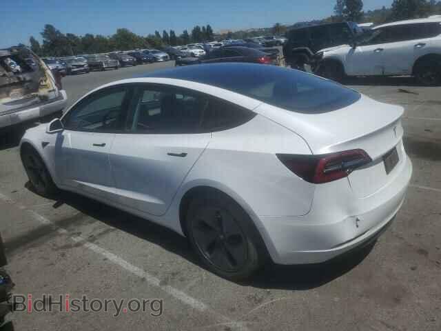 2021 TESLA MODEL 3 - VIN: 5YJ3E1EA2MF974043 - Photo 2