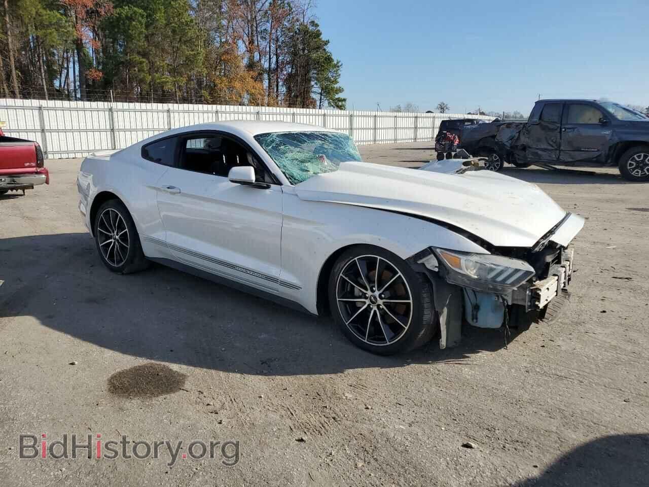 2017 FORD ALL Models - VIN: 1FA6P8TH4H5202026 - Photo 4