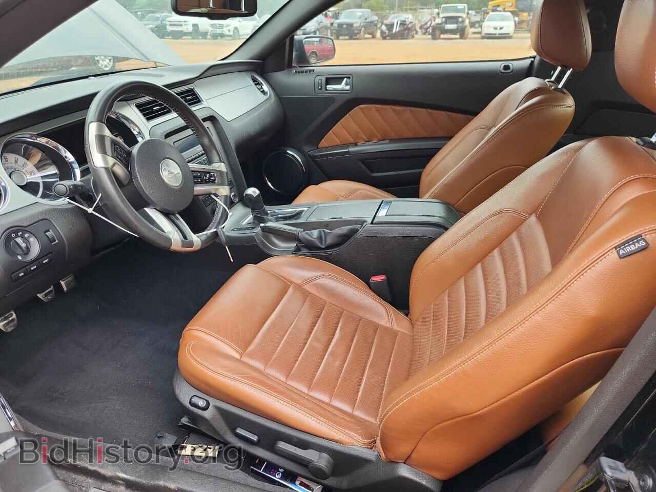 2010 FORD MUSTANG - VIN: 1ZVBP8CH9A5146998 - Фото 7